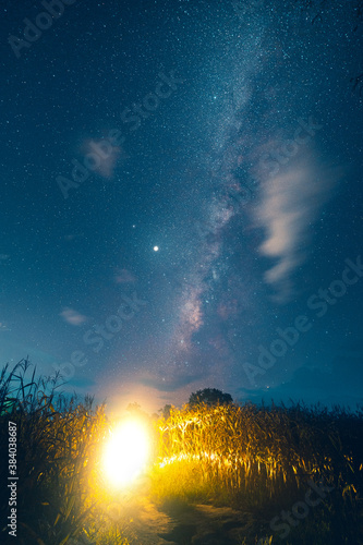 Milky way and night stars in the fields