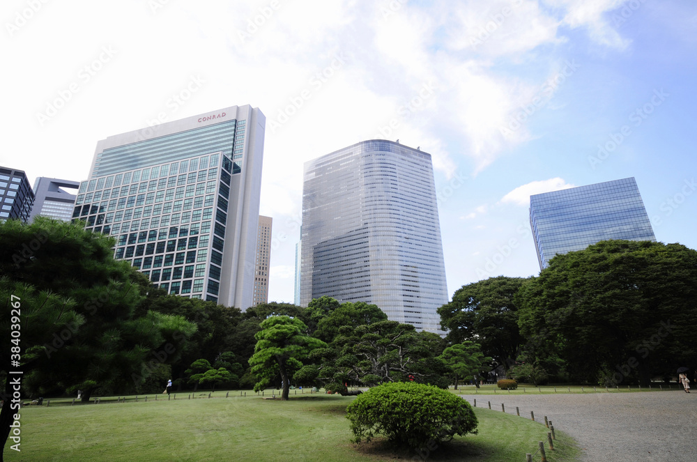 庭園から汐留ビル群