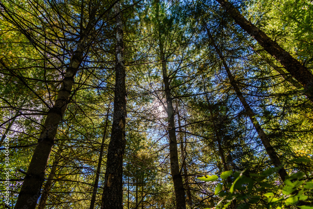 Laurentians parks and wildlife reserves Laurentians parks and wildlife reserves