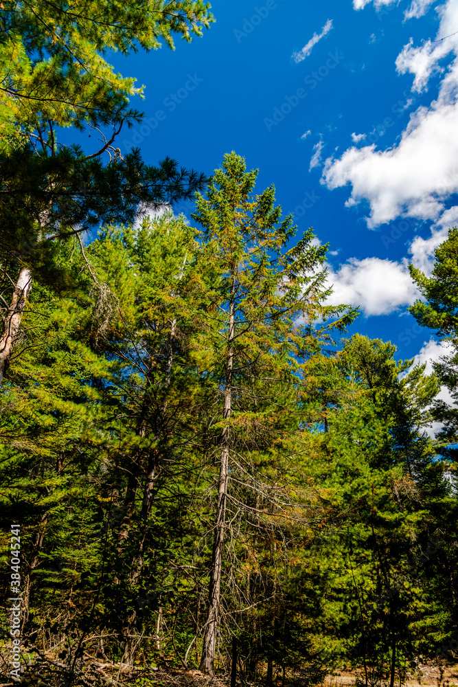 Fototapeta premium Laurentians parks and wildlife reserves