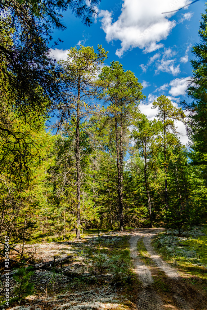 Obraz premium Laurentians parks and wildlife reserves