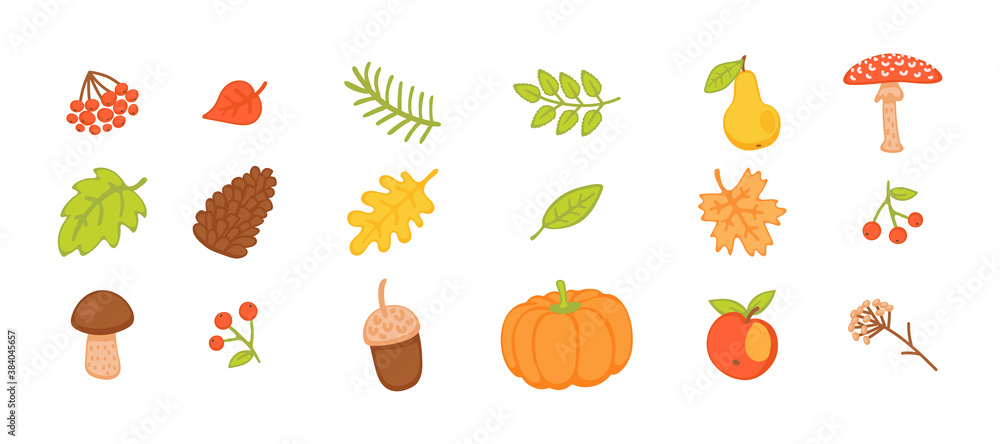 Autumn collection with leaves and mushrooms flat vector illustration isolated. Autumn collection with leaves and mushrooms flat vector illustration isolated.