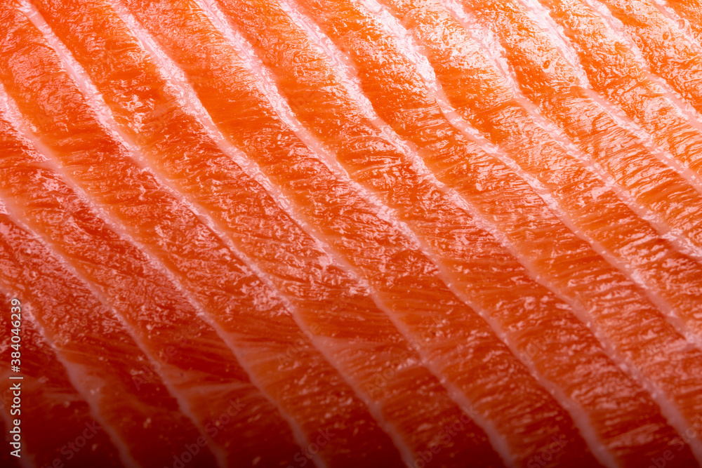fresh salmon fillet fresh salmon fillet