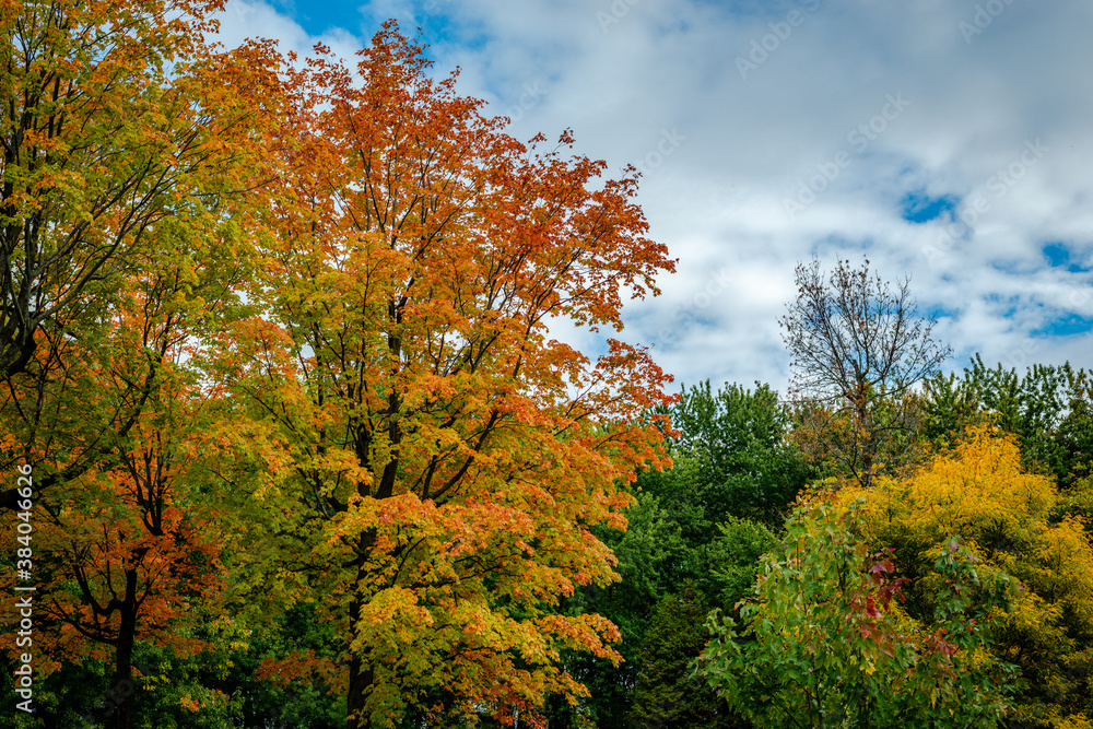 Autumn colors by the riverside Autumn colors by the riverside