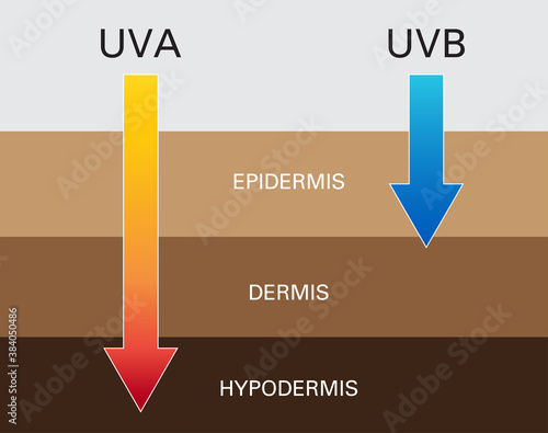 Skin compare , Protect both UVA and UVB