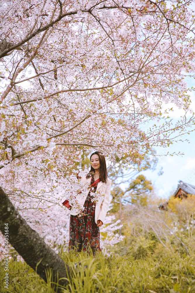 Girl and cherry blossoms in spring, Kyoto, Japan Girl and cherry blossoms in spring, Kyoto, Japan