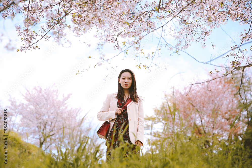 Girl and cherry blossoms in spring, Kyoto, Japan Girl and cherry blossoms in spring, Kyoto, Japan