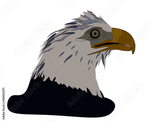 eagle head with parted mouth close up