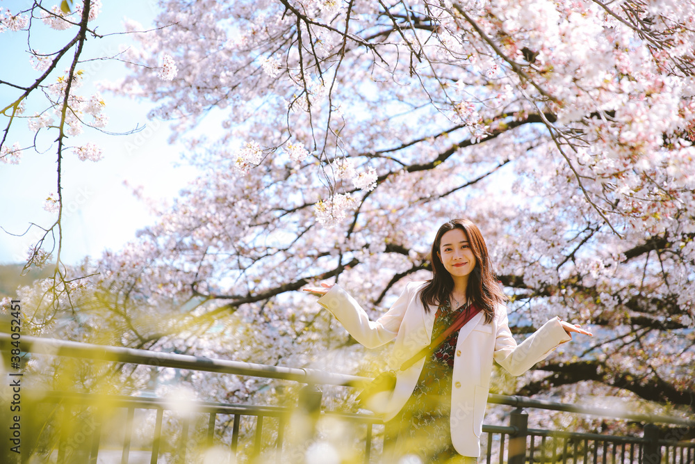 Girl and cherry blossoms in spring, Kyoto, Japan Girl and cherry blossoms in spring, Kyoto, Japan