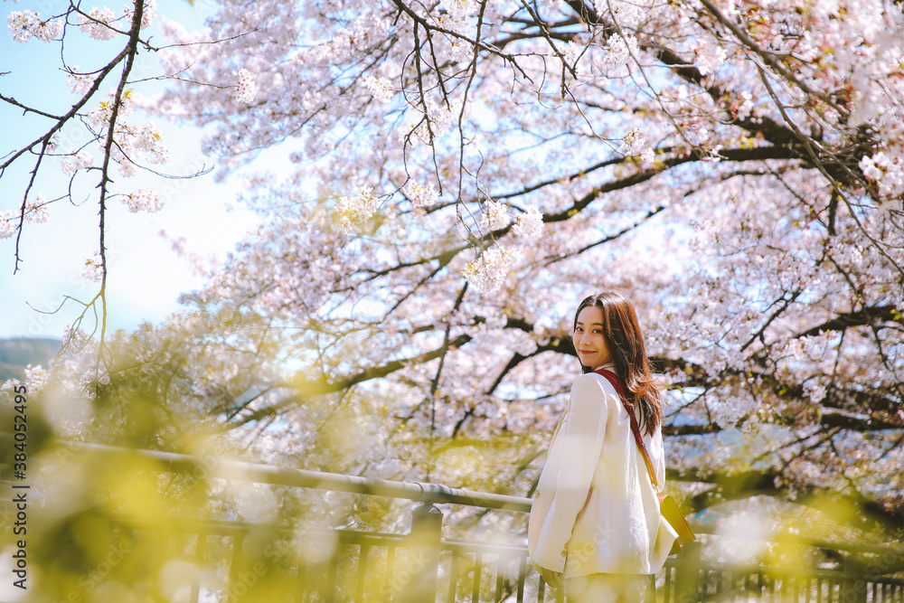 Girl and cherry blossoms in spring, Kyoto, Japan Girl and cherry blossoms in spring, Kyoto, Japan