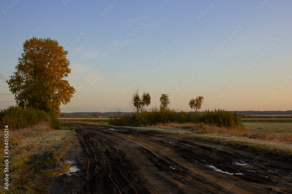 A dirt road leads through the fields. Yellow grass under blue sky