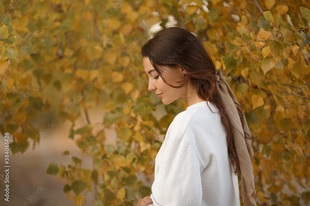 Woman in Autumn Park Woman in Autumn Park