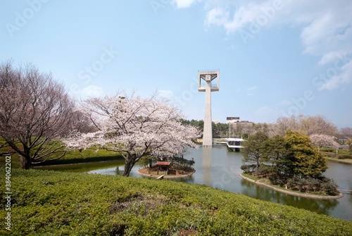 春の松見公園（茨城県つくば市） photo