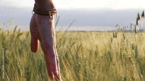 Wallpaper Mural Inspirational carefree female hand with bangle caressing golden wheat in meadow field sunlight Torontodigital.ca