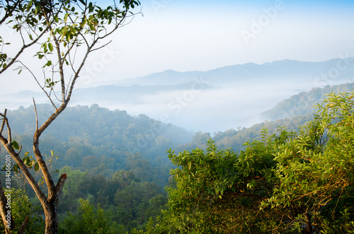 Green trees and white mist in the morning on the mountain complex is a rich and beautiful nature.