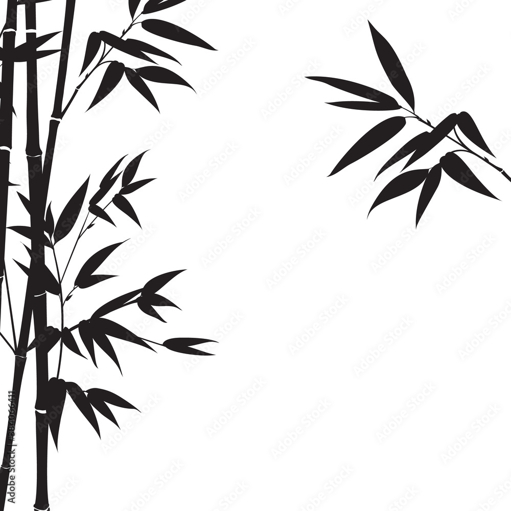 Fototapeta premium Silhouette bamboo leaves on white background.