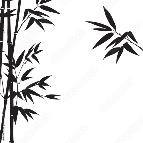 Silhouette bamboo leaves on white background.