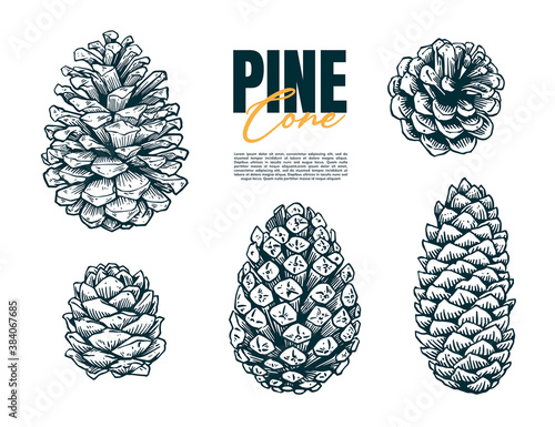 cone hand drawing style