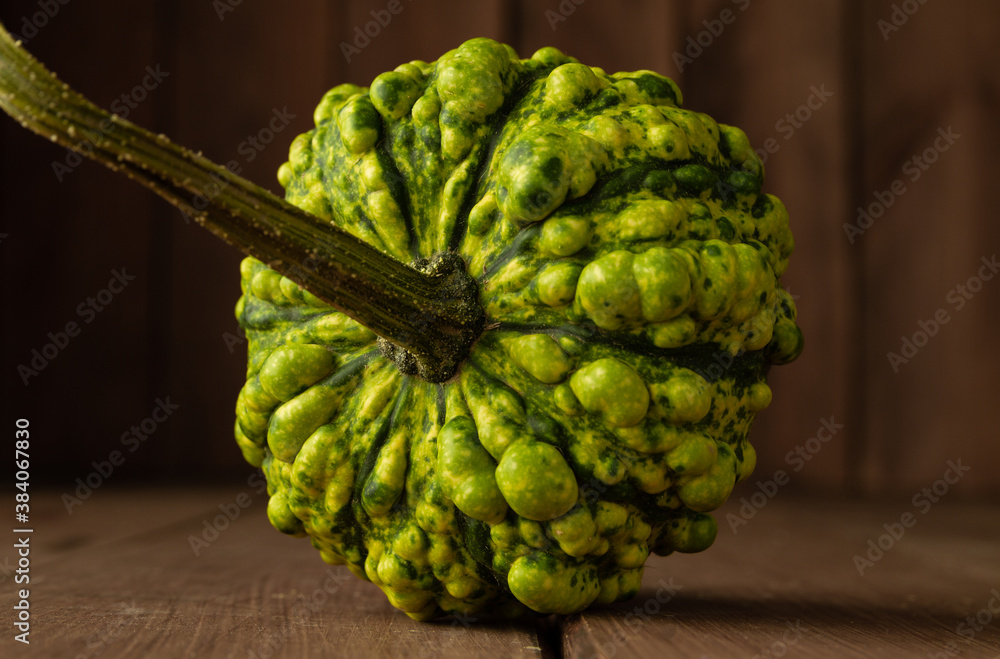 Small decorative green autumn pumpkin or squash on a wooden background with copyspace.