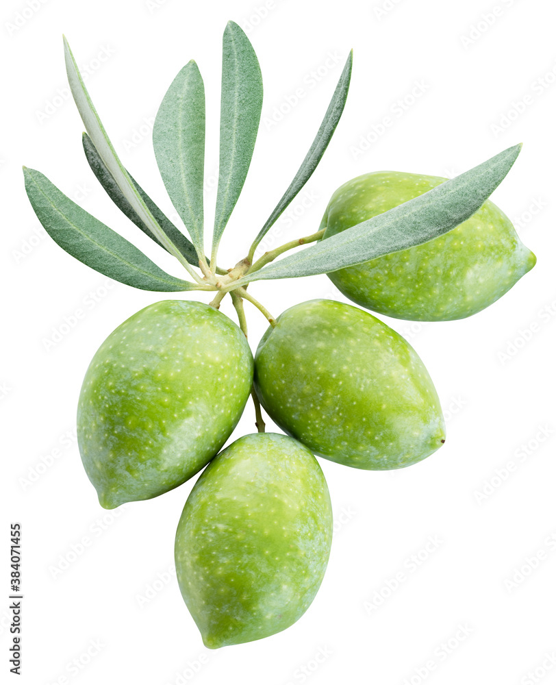 Obraz premium Green natural olives with leaves isolated on a white background.
