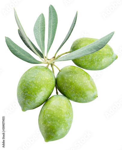 Wallpaper Mural Green natural olives with leaves isolated on a white background. Torontodigital.ca