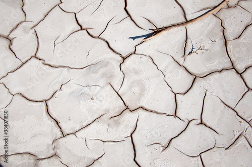 Cracked white earth at Kyzylkum desert in Karakalpakstan region of Uzbekistan