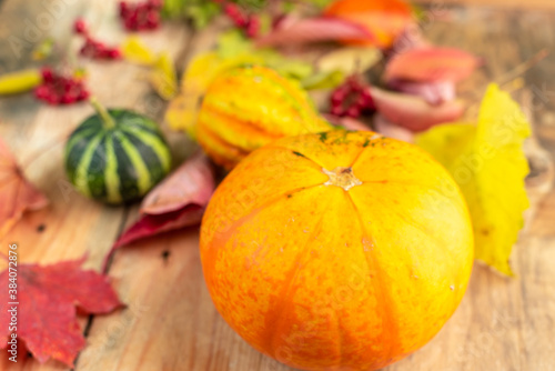 blurred autumn background, with delicate, colorful shapes of leaves and small decorative pumpkins