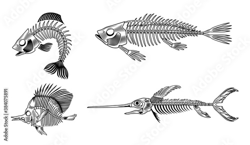 Black bass fish skeleton flat set for web design. Vintage monochrome marine animal bones isolated vector illustration collection. Design elements for sea creatures concept