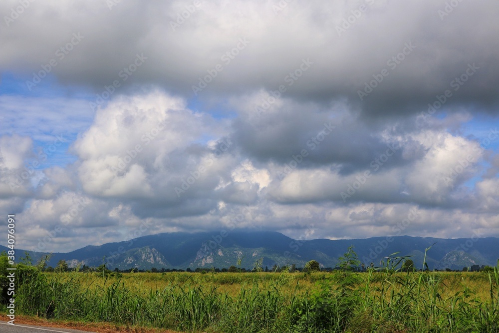 Obraz premium clouds over the forest