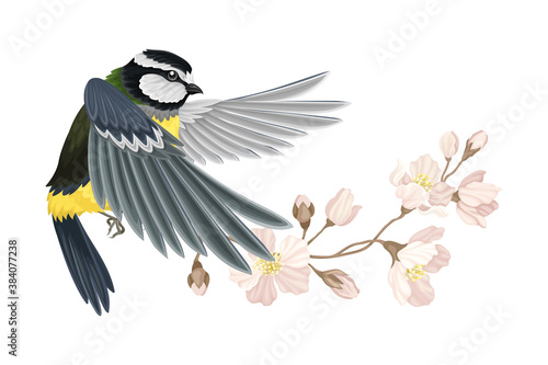 Great Tit with Black Head and Yellow Body Flying Towards Apple Blossom Branch Vector Illustration