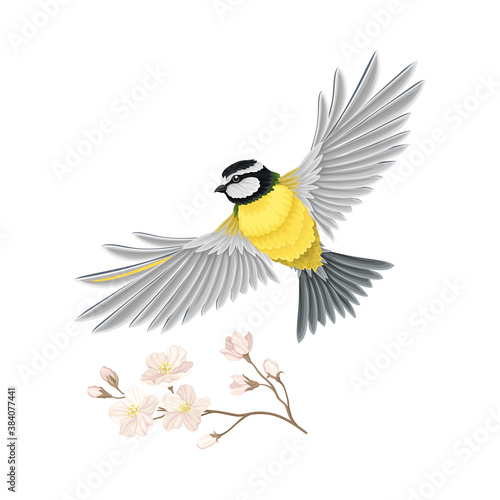 Great Tit with Black Head and Yellow Body Flying Towards Apple Blossom Branch Vector Illustration