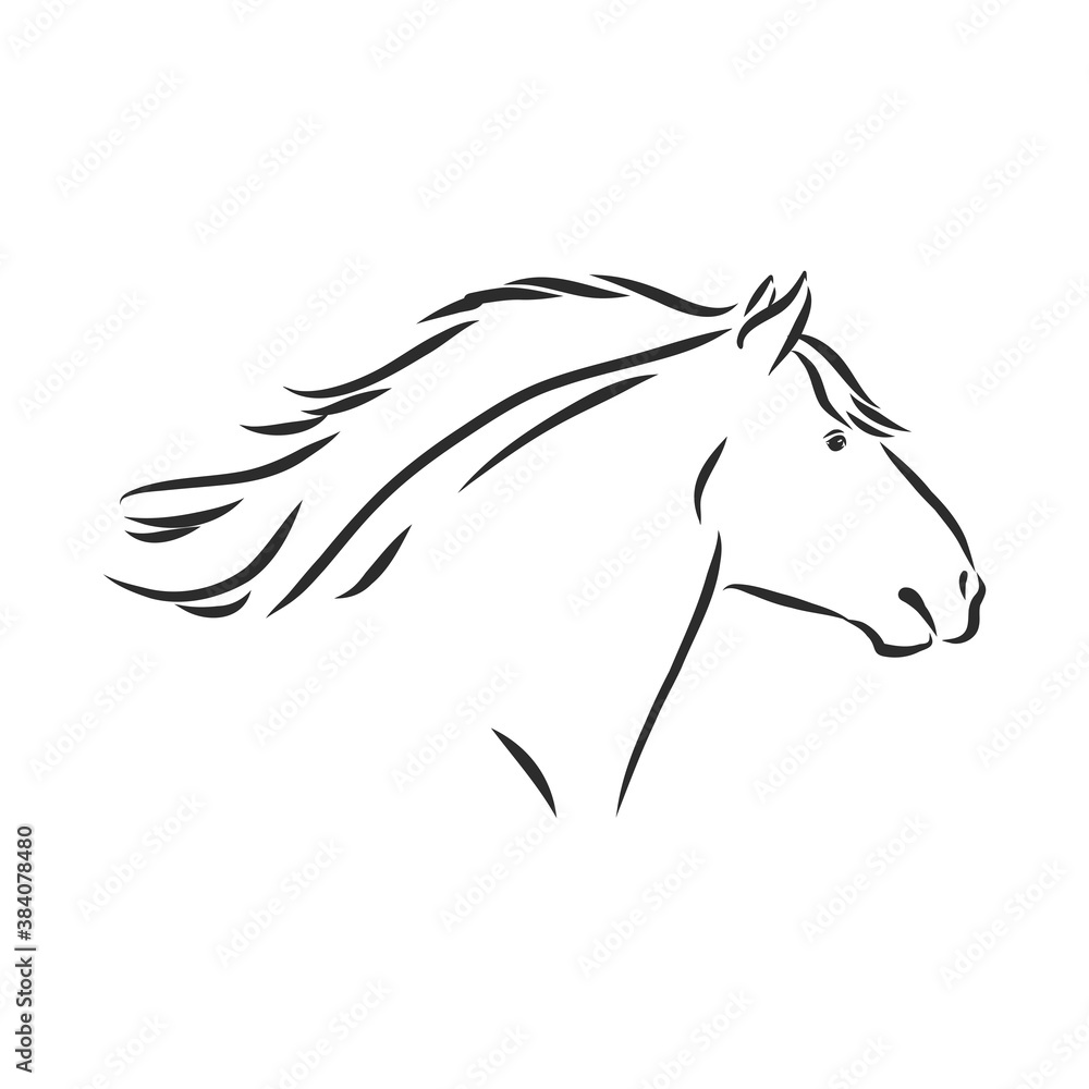 hand-drawn silhouette of a prancing heavy - harnessed white horse on a white background, heavy horse, vector sketch illustration hand-drawn silhouette of a prancing heavy - harnessed white horse on a white background, heavy horse, vector sketch illustration