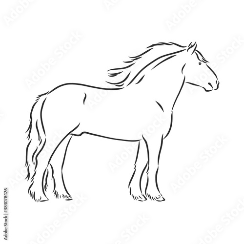 hand-drawn silhouette of a prancing heavy - harnessed white horse on a white background, heavy horse, vector sketch illustration