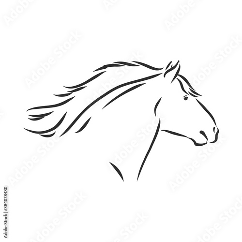Fototapeta Naklejka Na Ścianę i Meble -  hand-drawn silhouette of a prancing heavy - harnessed white horse on a white background, heavy horse, vector sketch illustration