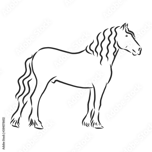 hand-drawn silhouette of a prancing heavy - harnessed white horse on a white background, heavy horse, vector sketch illustration