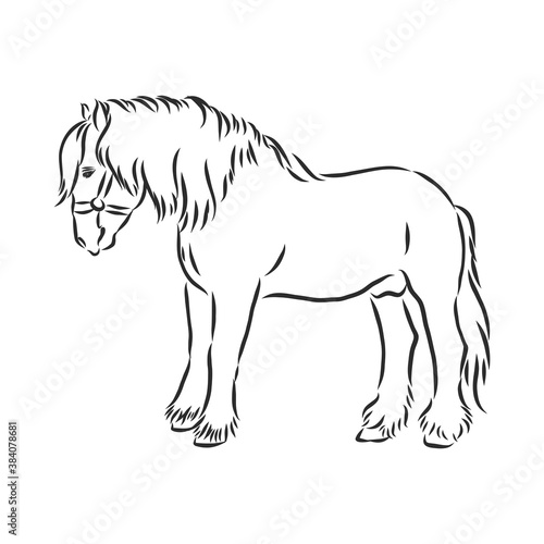hand-drawn silhouette of a prancing heavy - harnessed white horse on a white background, heavy horse, vector sketch illustration