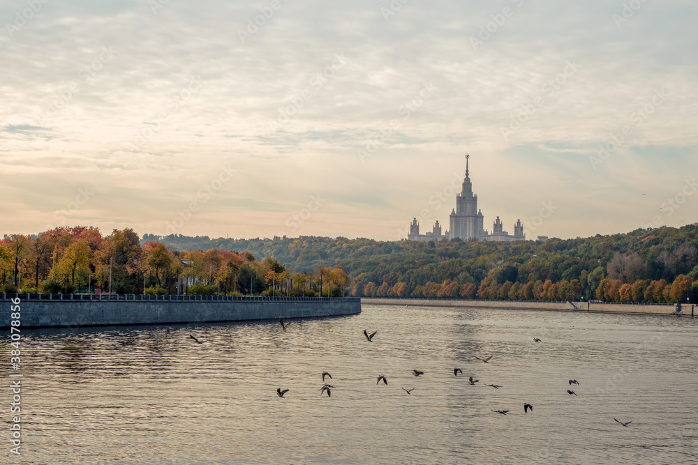 Autumn morning on the Sparrow hills. Migratory birds fly over the Moscow river