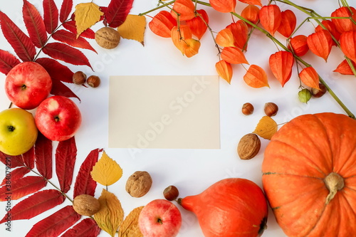 thanksgiving day concept, autumn harvest frame with space for text, leaves, apples and pumpkins, top view
