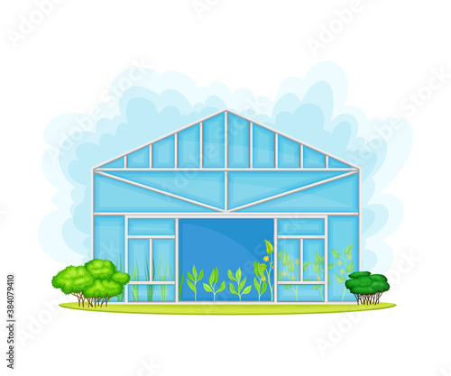 Germination Bed or Greenhouse with Crops or Vegetables Growing and Cultivation Vector Illustration