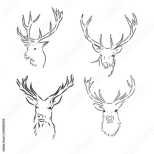 One line design silhouette of deer.hand drawn minimalism style.vector illustration, deer, vector sketch illustration
