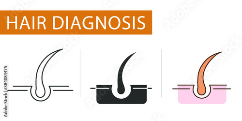 icons set, schematic image of a hair follicle