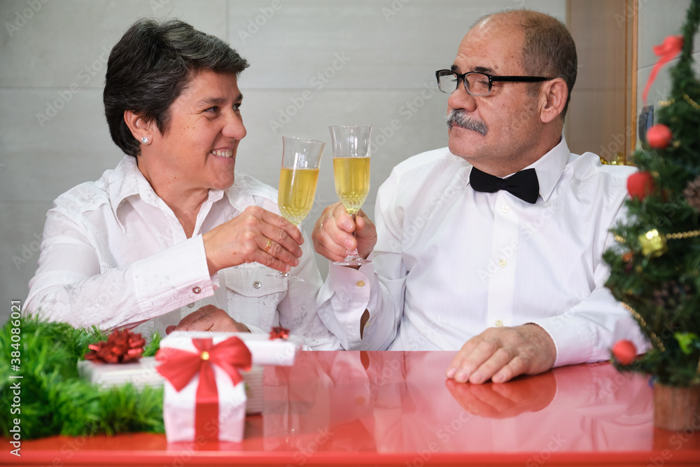 Senior couple celebrating christmas clinking glasses of champagne. Christmas celebration concept. Senior couple celebrating christmas clinking glasses of champagne. Christmas celebration concept.