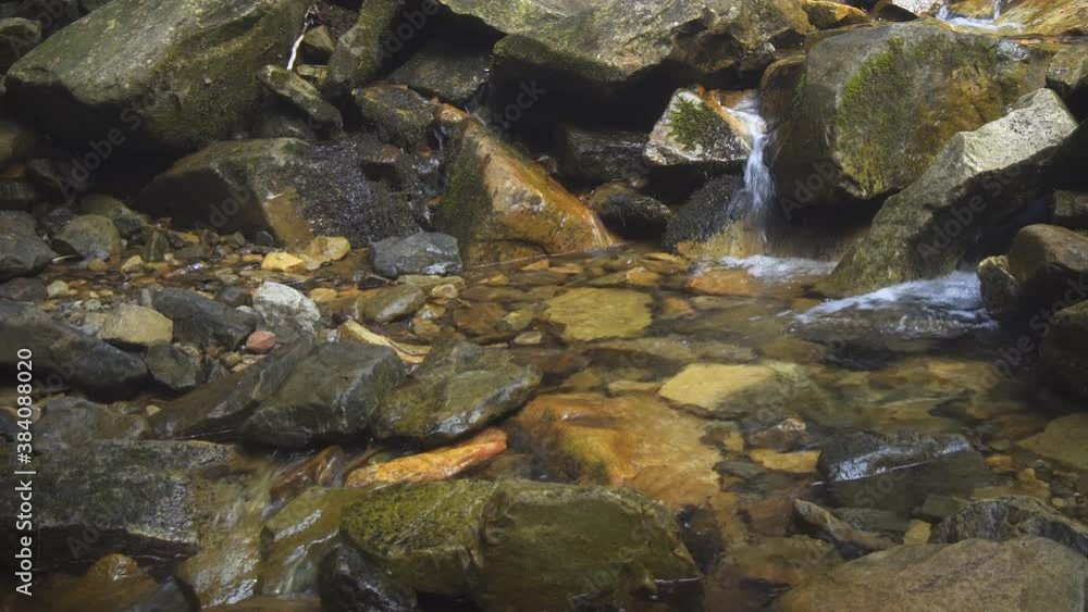 Mountain stream in a shady European forest Mountain stream in a shady European forest