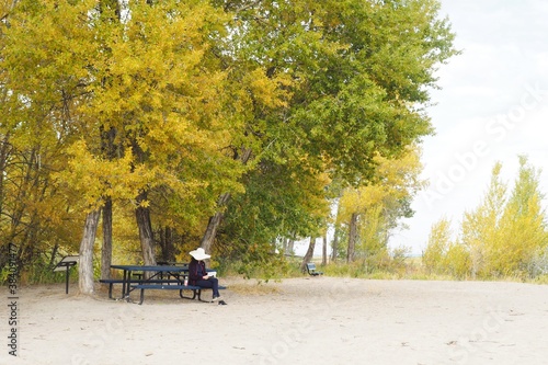 Woman reading at the beach, surrounded by colorful foliage. Bear Lake, Utah.