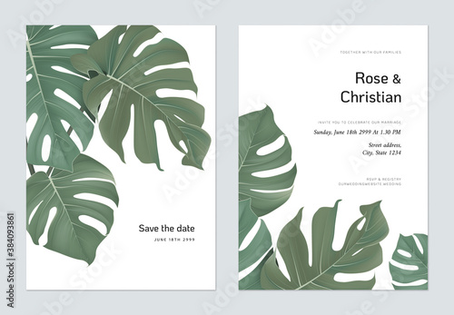 Foliage wedding invitation card template design, Split-leaf Philodendron on white