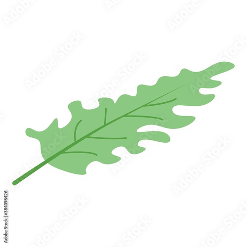 Arugula cook leaf icon. Isometric of arugula cook leaf vector icon for web design isolated on white background