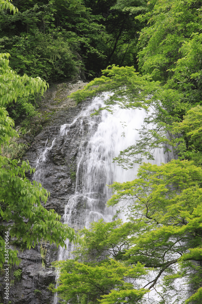 箕面の滝