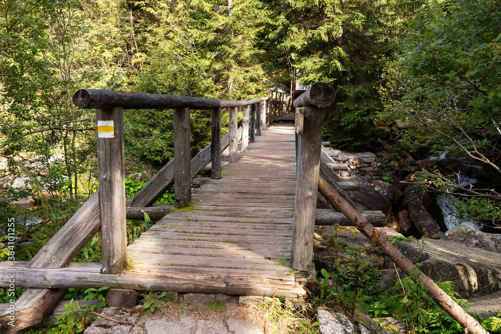 Wooden bridge in the Krkonose National Park. Czech Republic Wooden bridge in the Krkonose National Park. Czech Republic