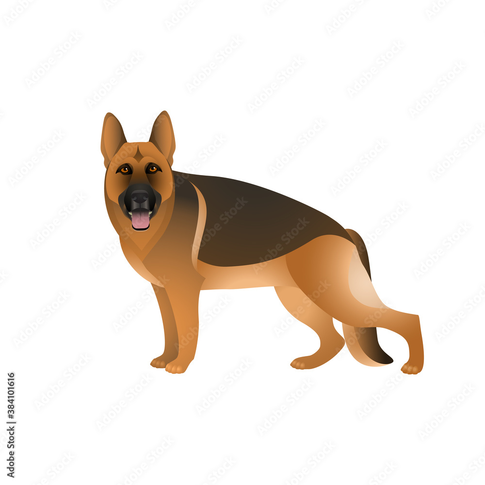 Isolated colorful happy standing german shepherd on white background. Color flat cartoon breed dog.