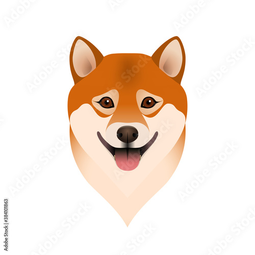 Isolated colorful head and face of happy shiba inu on white background. Color flat cartoon breed dog portrait.